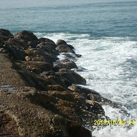 Wojcik Provans グディニャ