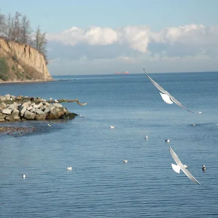 アパート Wojcik Provans グディニャ