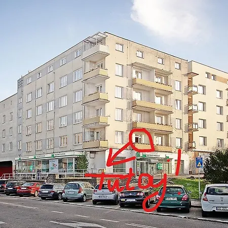 Wojcik Provans グディニャ