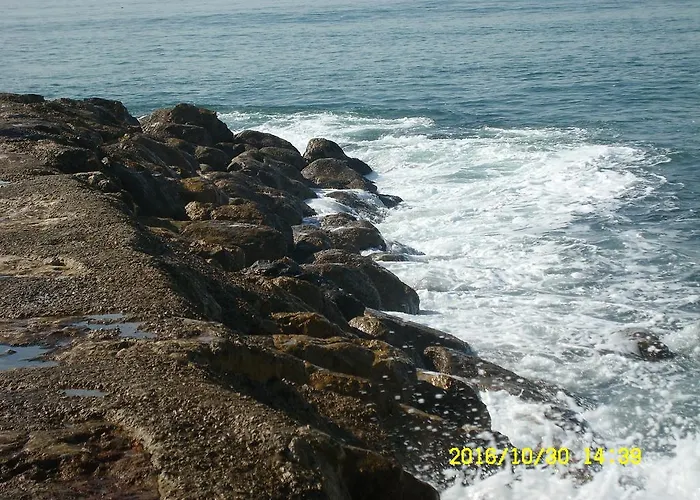 Wojcik Provans 格丁尼亚