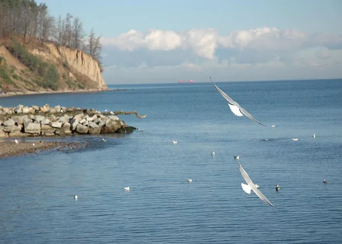 公寓 Wojcik Provans 格丁尼亚