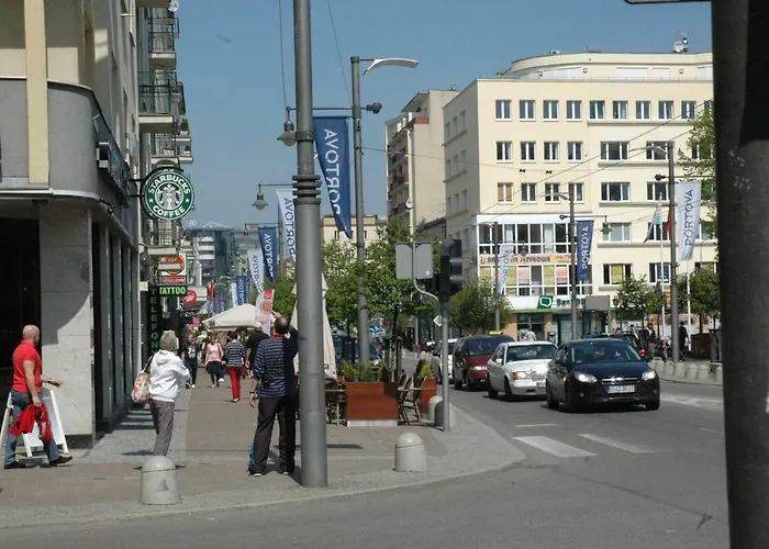 Wojcik Provans * 格丁尼亚