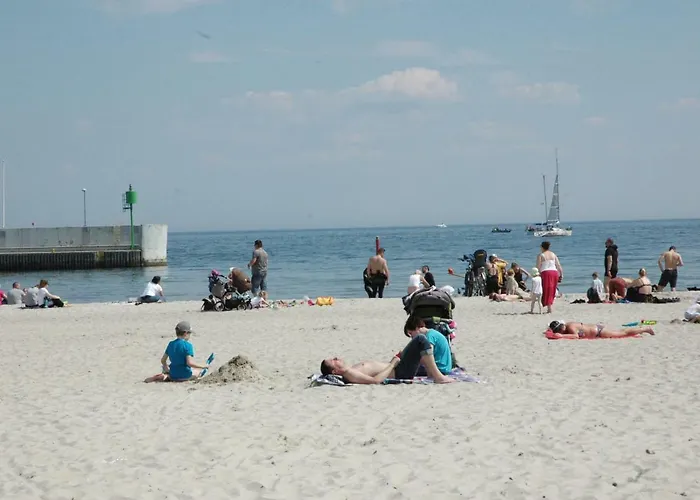 Wojcik Provans * 格丁尼亚